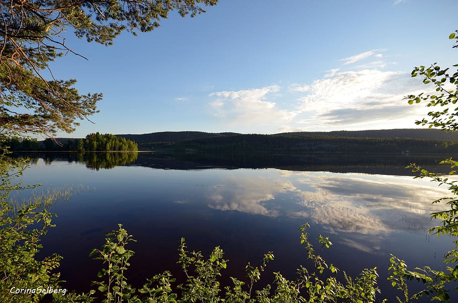 water, mirroring, lake, reflection, tree, sky, scenics - nature HD wallpaper