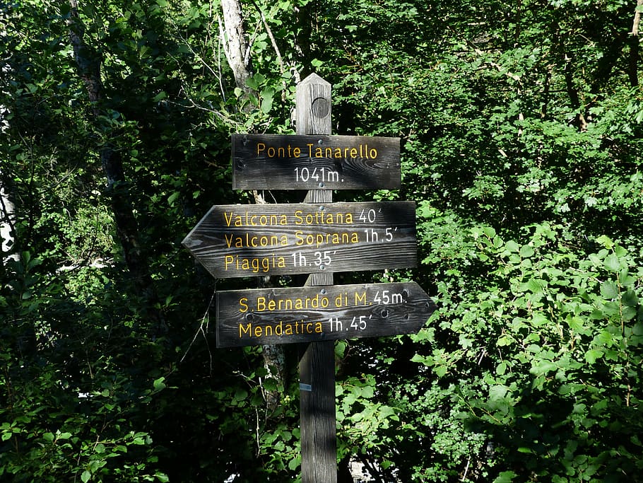 directory, signposts, hiking trails, direction, marking, shield
