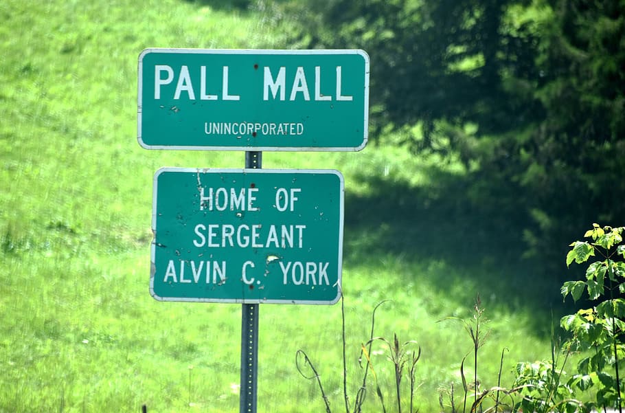 pall mall tn sign, sergeant york hometown, alvin york, communication, HD wallpaper