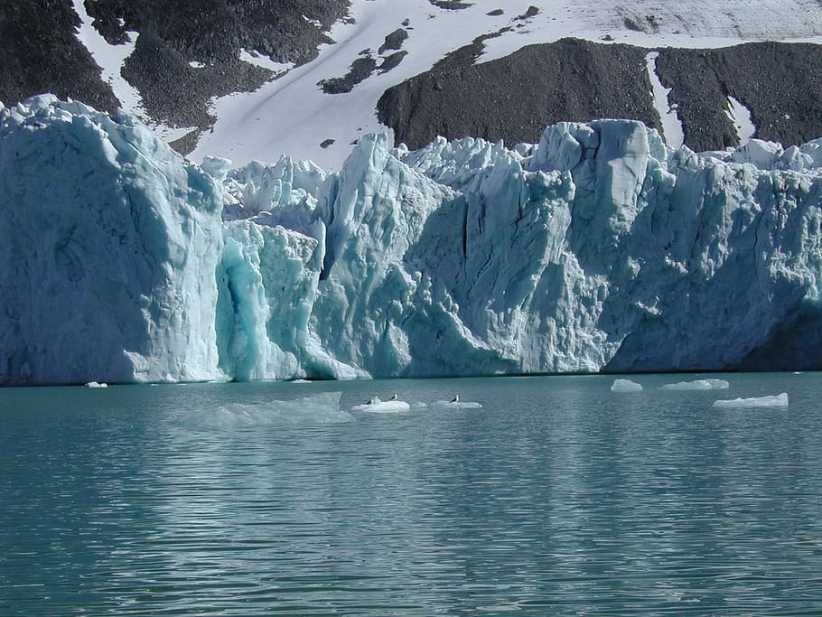 spitsbergen, glacier, ice, water, cold temperature, waterfront, HD wallpaper