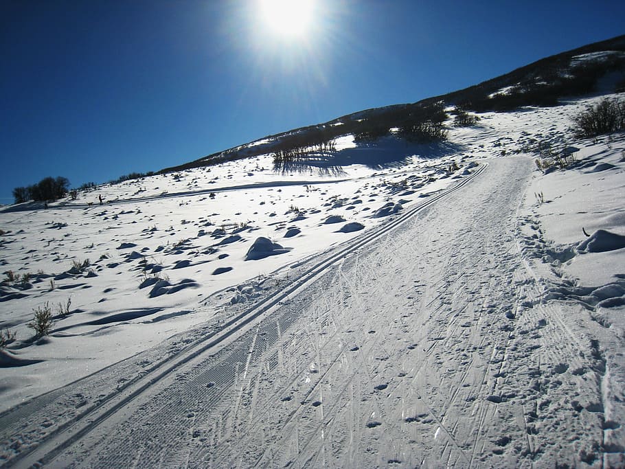 sunshine, high, mountain, ski, trail, hill, winter, landscape HD wallpaper