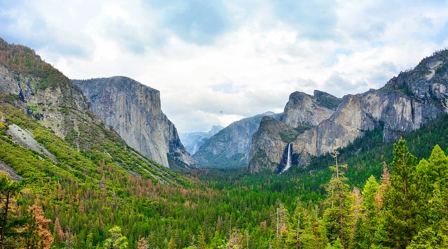 pine tree fields surrounded with rocky mountains, mountain surrounded with trees at daytime HD wallpaper