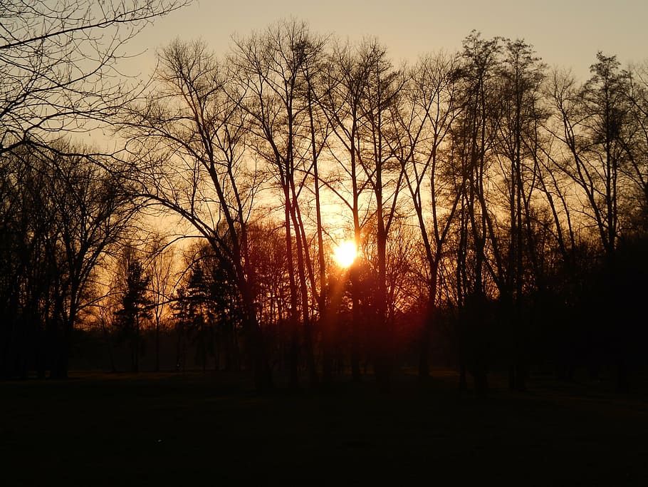 west-sun-stromovka-nature.jpg