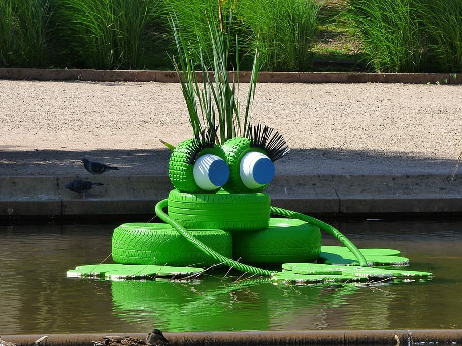 basin, original, frog, water, nature, green color, plant, day HD wallpaper