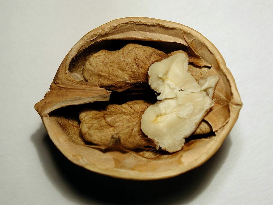 Fruit, Nut, Walnuts, Plants, fruits, flora, studio shot, white background HD wallpaper
