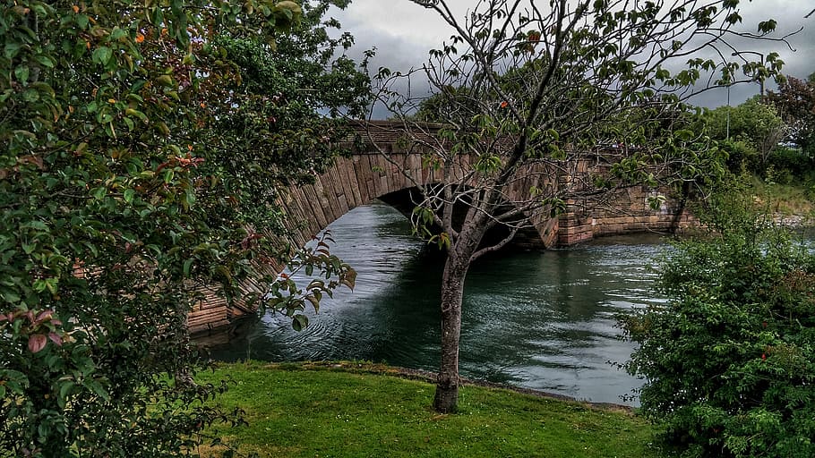 old, bridge, 1816, dungarvan, waterford, ireland, plant, tree HD wallpaper