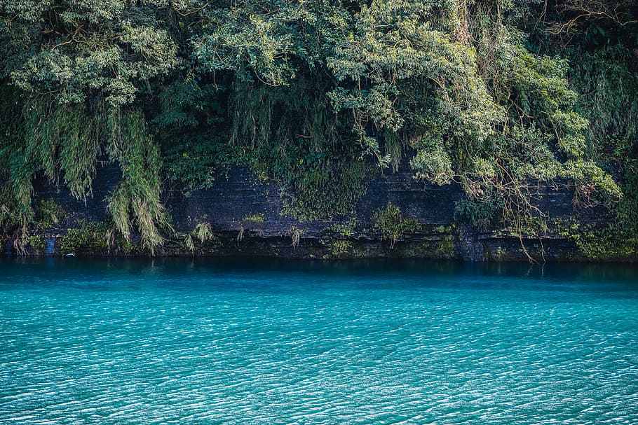 turquoise water near cliff with trees during daytime, rock formation covered with plants near body of water HD wallpaper