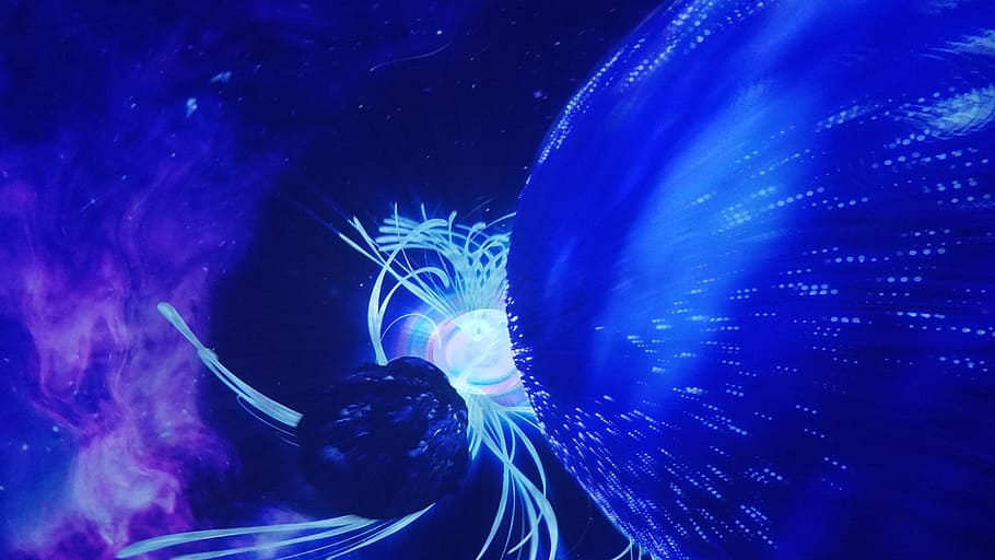 blue and white digital wallpaper, Space, Astronomy, Cosmos HD wallpaper