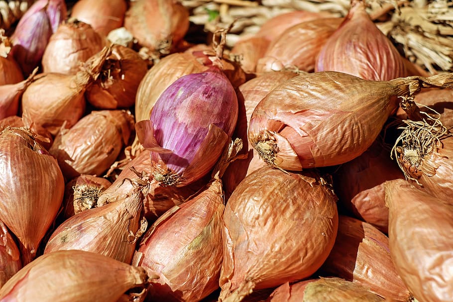 bunch of onion bulbs, shallots, noble onion, sharp, food, food and drink, HD wallpaper