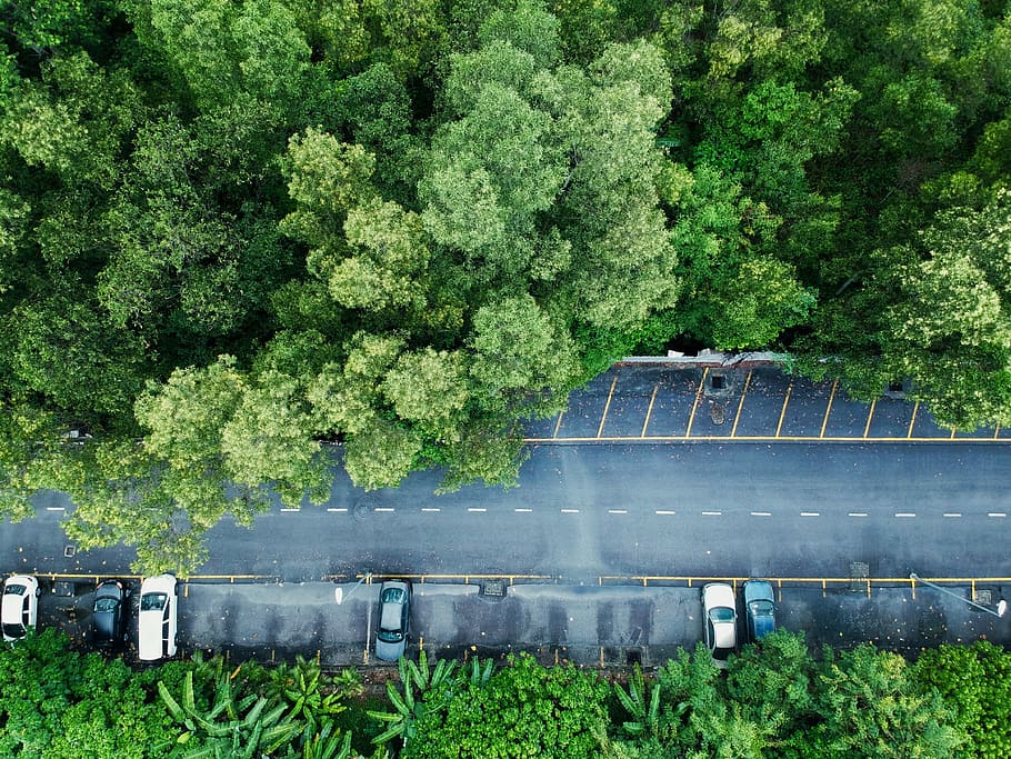 aerial photography of road near trees, aerial photography of vehicle parking near roadway and trees HD wallpaper