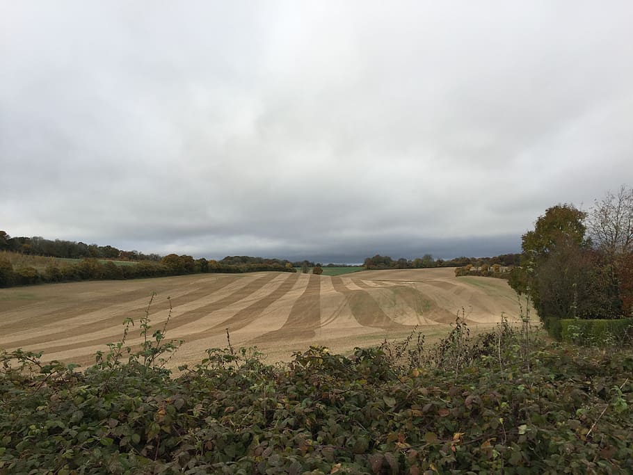 west meon, field, crop, landscape, environment, sky, cloud - sky HD wallpaper