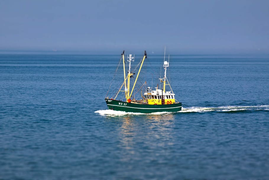 Fishing Vessel, Boot, Ship, Cutter, north sea, crabs, water HD wallpaper
