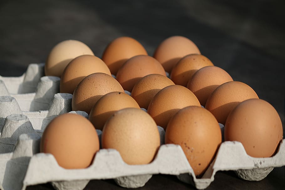 eggs, easter, chicken, food, shell, food and drink, healthy eating HD wallpaper