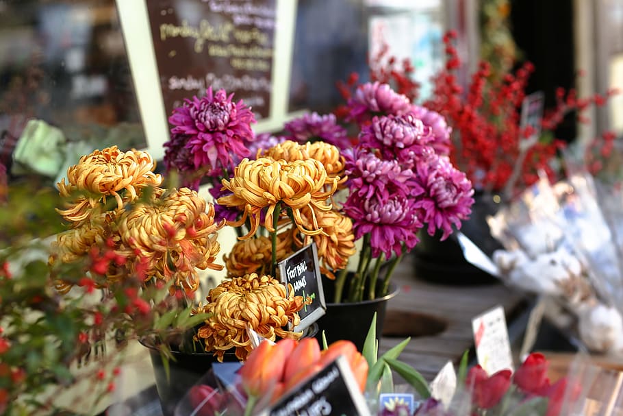still, items, things, flowers, bouquet, grocery, market, vend HD wallpaper