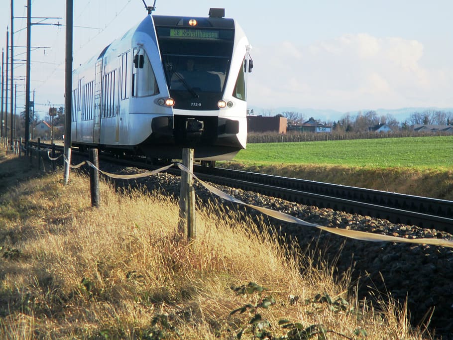 railway, train, regional train, exit, track, locomotive, train driver HD wallpaper