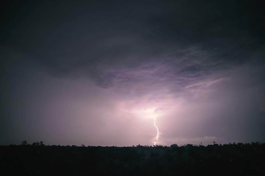 silhouette of trees under gray clouds with thunder at nighttime, thunder strike from the sky HD wallpaper