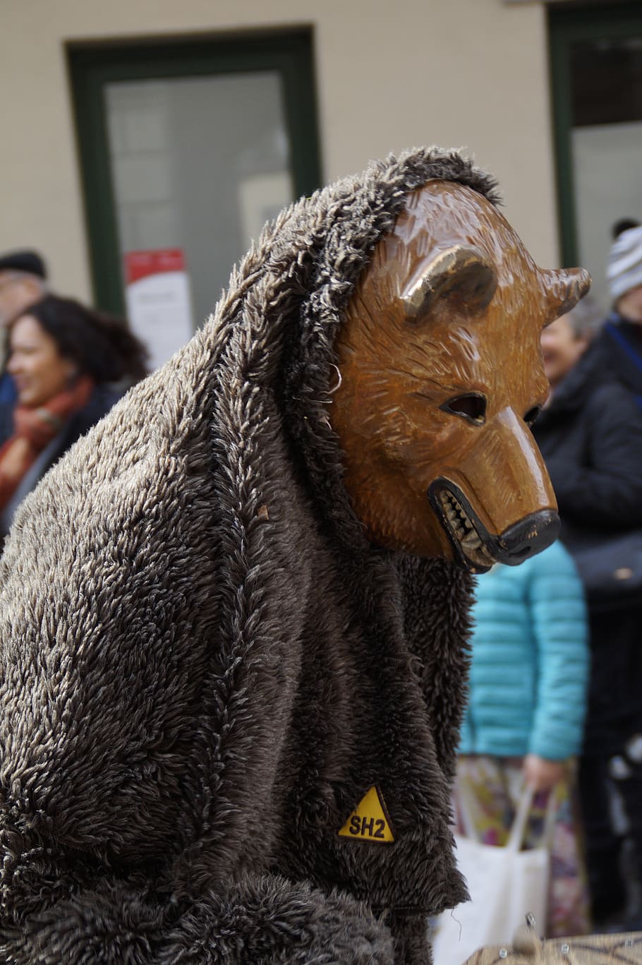 bear, fur, animal figure, tiermaske, fool, haestraeger, carnival