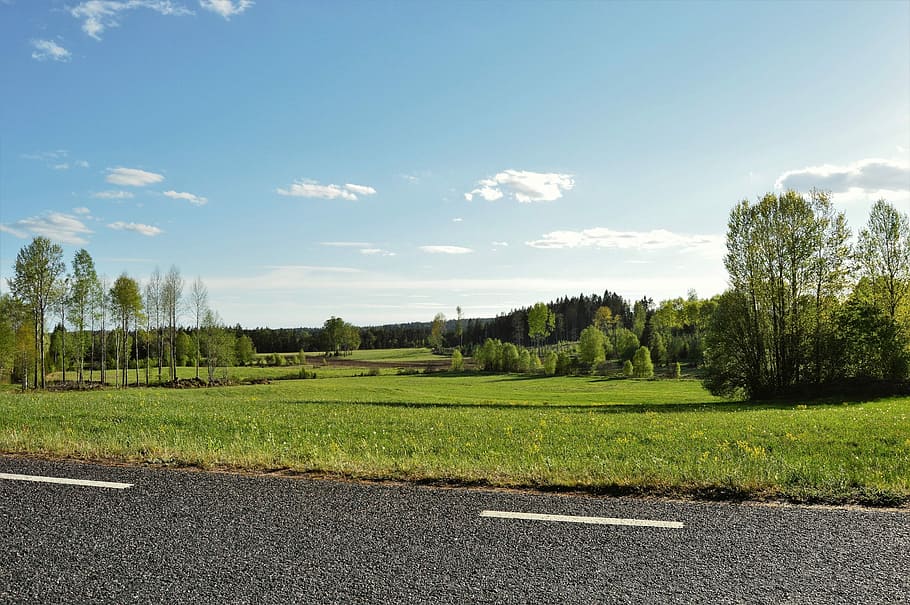 Road, Bed, Grass, Green, Green, Blue, Blue, Summer, himmel HD wallpaper