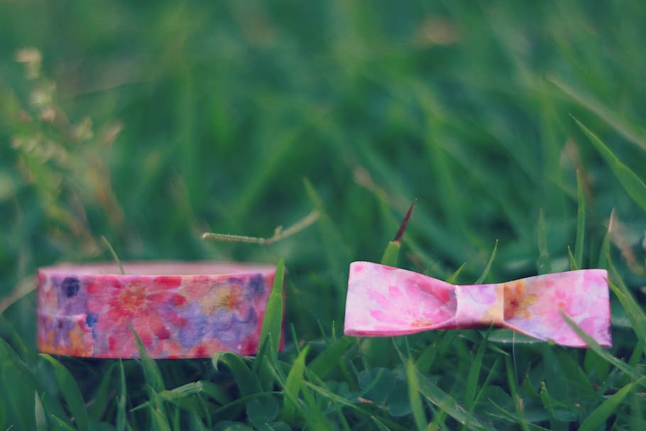 pink and blue bow tie, grass, nature, green Color, outdoors, day HD wallpaper
