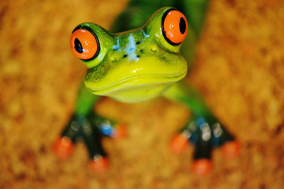frog, funny, figure, cute, ceramic, frogs, sweet, animal, green HD wallpaper