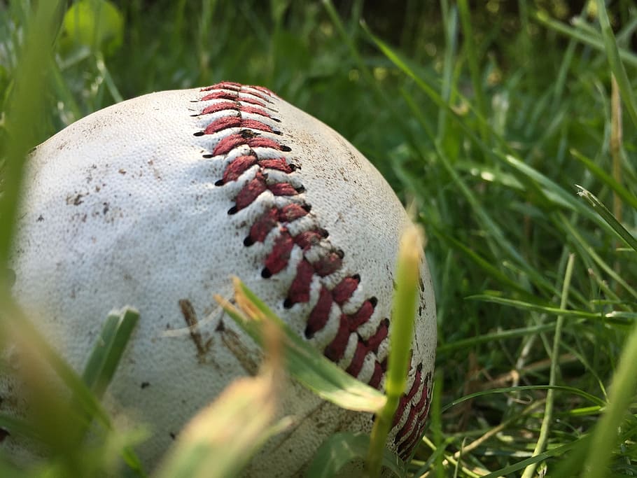white baseball on grass, dirty, mlb, major, league, sports HD wallpaper