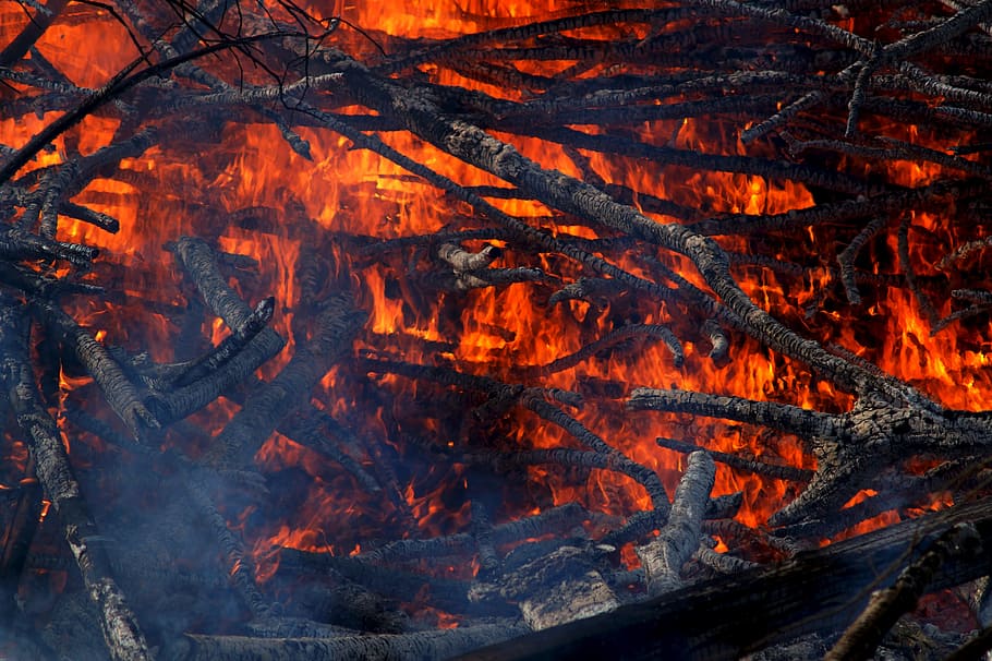 fire, smoke, heat - temperature, orange color, burning, fire - natural phenomenon HD wallpaper