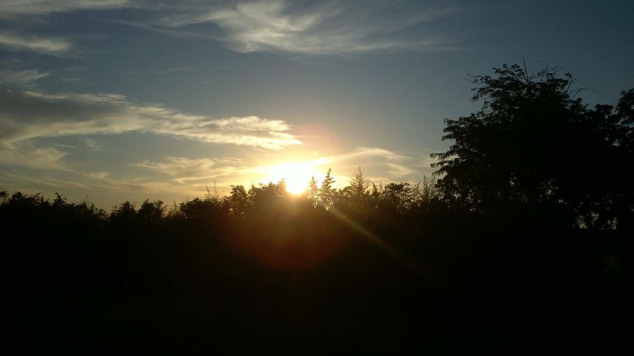 sunset, embrapa, landscape, tree, sky, silhouette, tranquility HD wallpaper