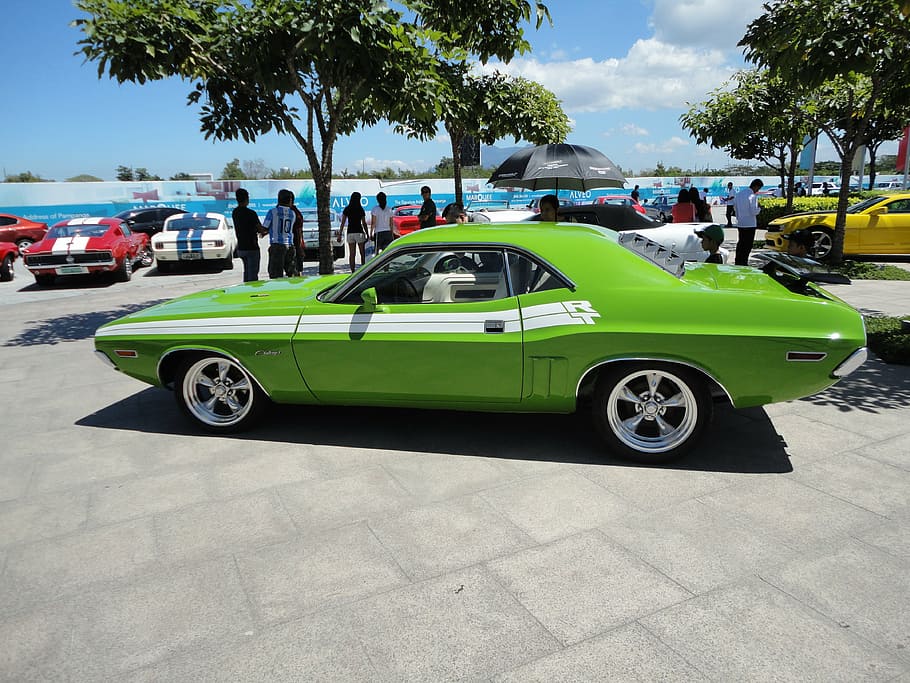 Hd Wallpaper Muscle Car Challenger Vintage Green Retro Rear Old Classic Wallpaper Flare