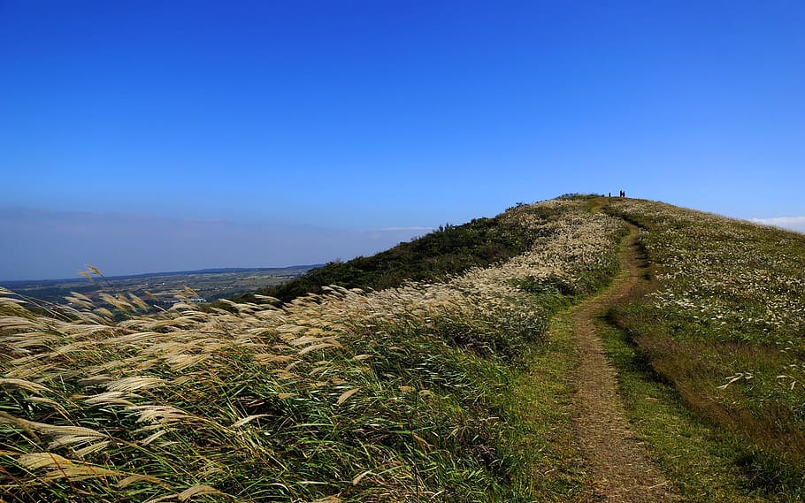 Klitschko, whether or not, nature, landscape, sky, blue, grass HD wallpaper