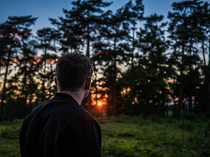 photography of man looking sunset in front of green leafed trees, man in black top looking at the trees HD wallpaper