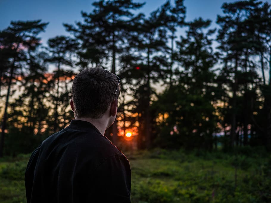 photography of man looking sunset in front of green leafed trees, man in black top looking at the trees HD wallpaper