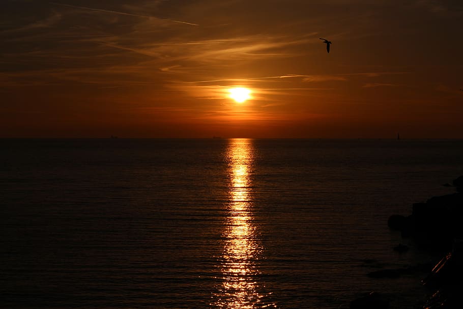 sunset, red, sea, water, sky, scenics - nature, reflection HD wallpaper