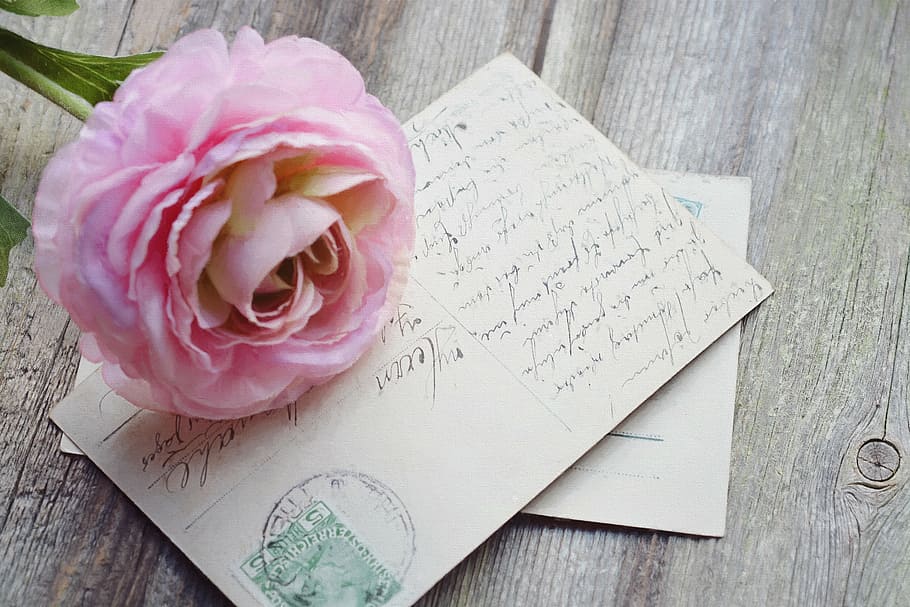 pink flower with greeting card, postcard, map, font, old, vintage, HD wallpaper