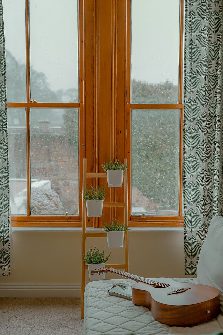 four green leaf plants with pot on rack near window, four potted green plants inside room HD wallpaper