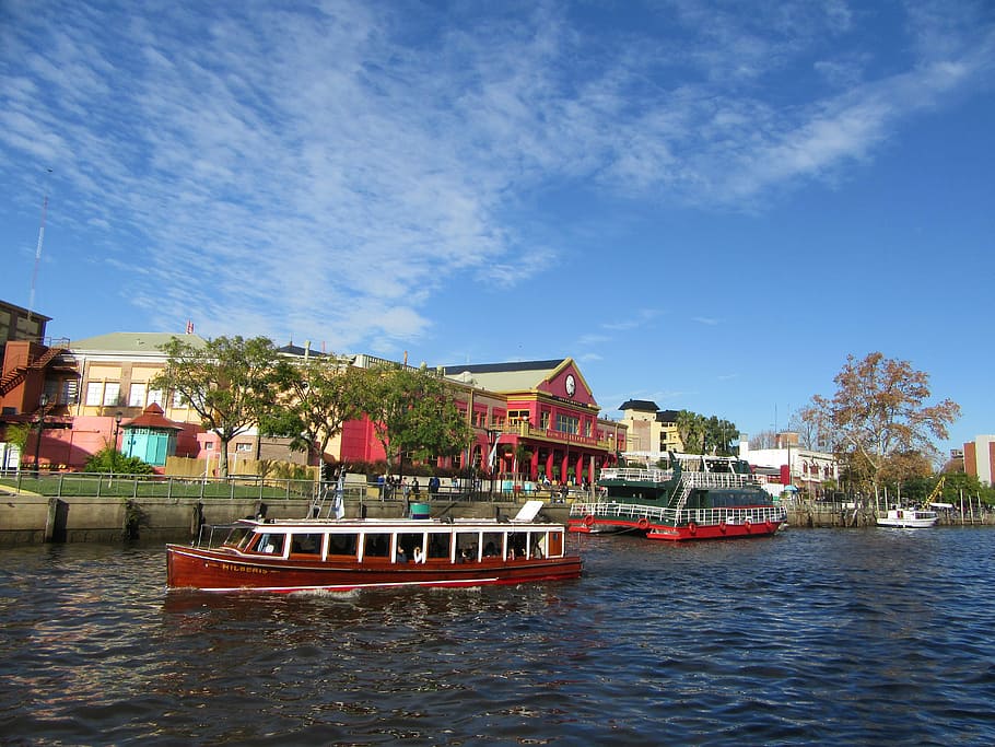 argentina, tiger, river, delta, boat, tourism, buenos aires HD wallpaper