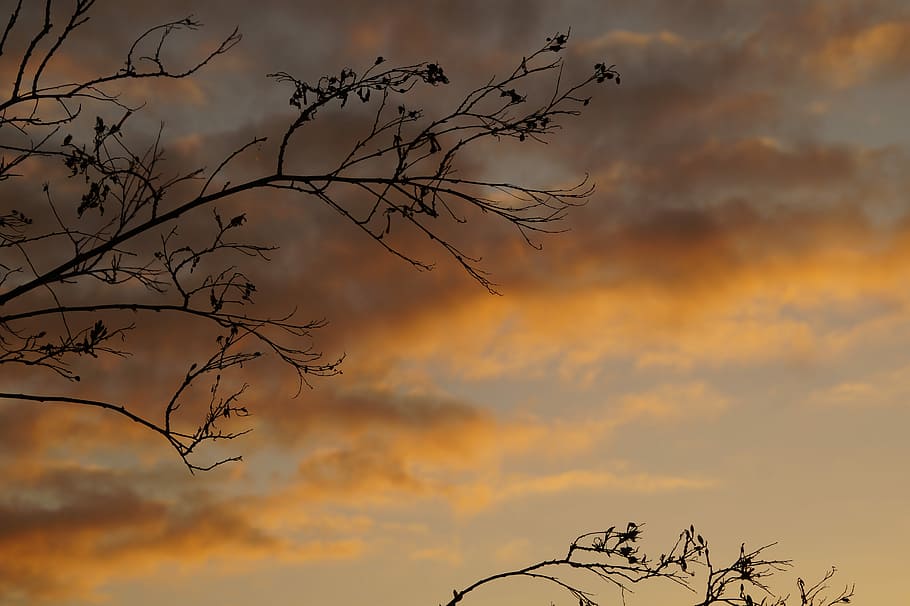 Clouds, Illuminated, Sunset, afterglow, sky, abendstimmung HD wallpaper