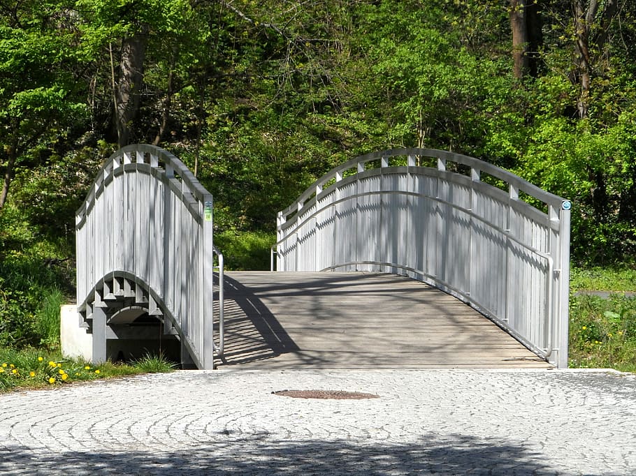 white and brown bridge near green leafed trees, Bridge, Railing