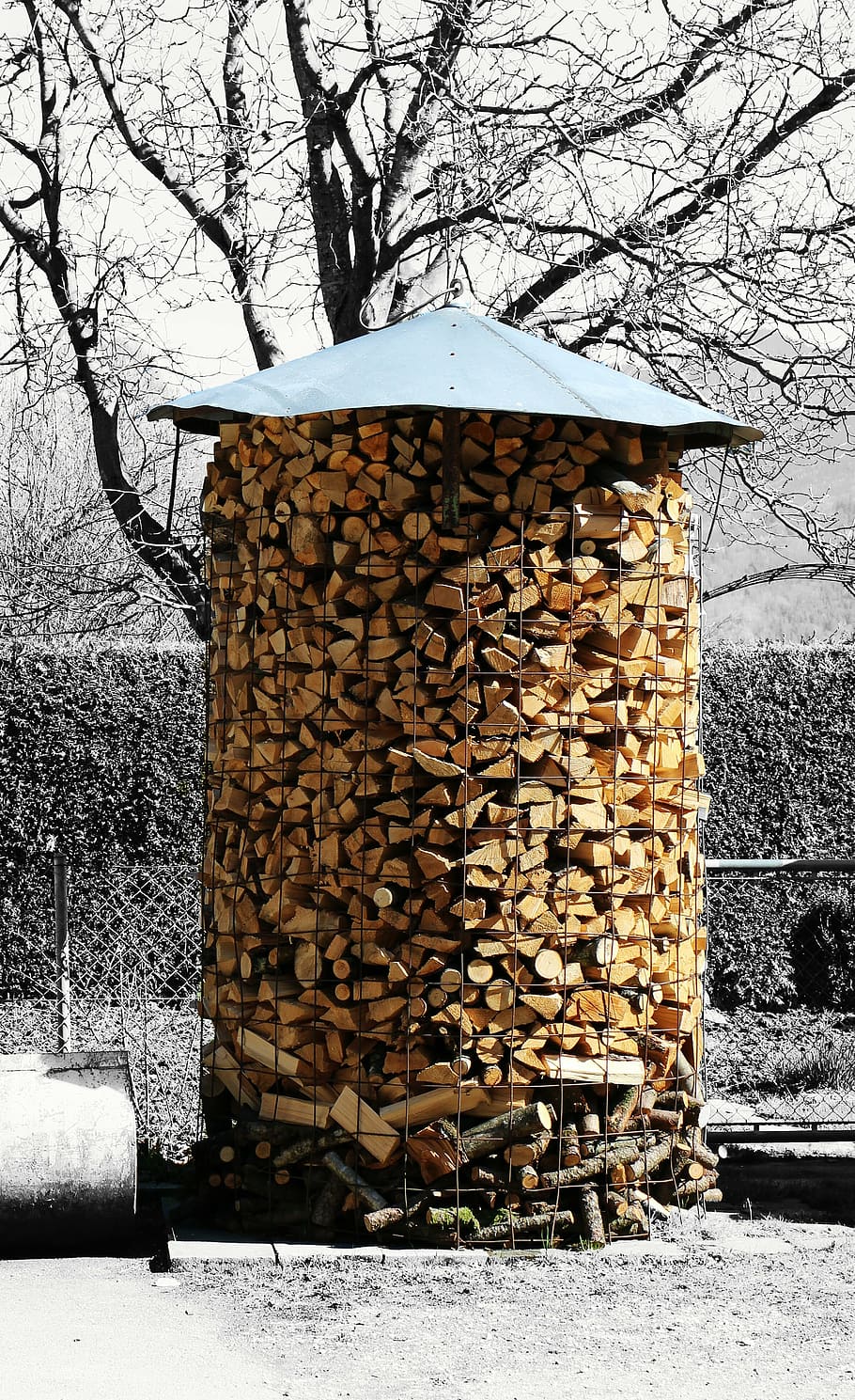 wood, firewood, stack, shock, stock, tree, nature, day, log HD wallpaper
