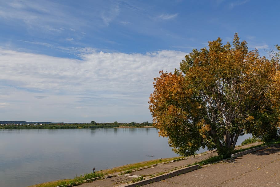River, Tree, Autumn, Clouds, sky, tom, tomsk, nature, lake HD wallpaper