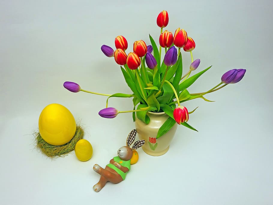 easter, easter bunny, easter egg, tulips, vase, happy easter HD wallpaper