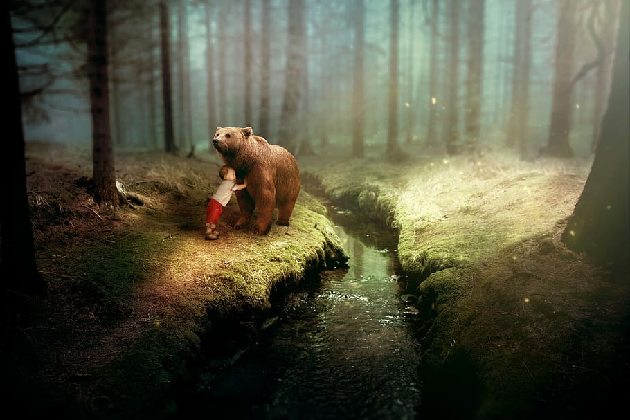 boy inf front of bear, fantasy, child, forest, bach, trees, grass, HD wallpaper