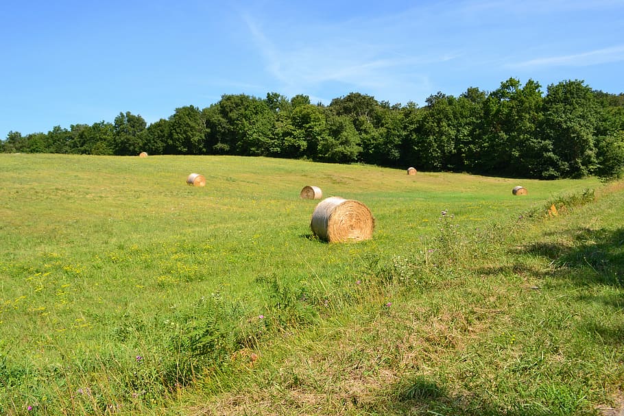 hay bales, fields, agriculture, grass, nature, landscapes, haystack HD wallpaper