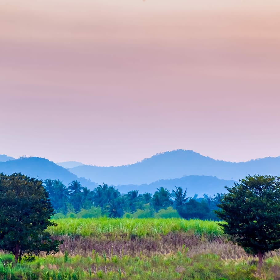 Sunset, Hill, Hill, Mountain, Landscape, sunset landscape, outdoor HD wallpaper