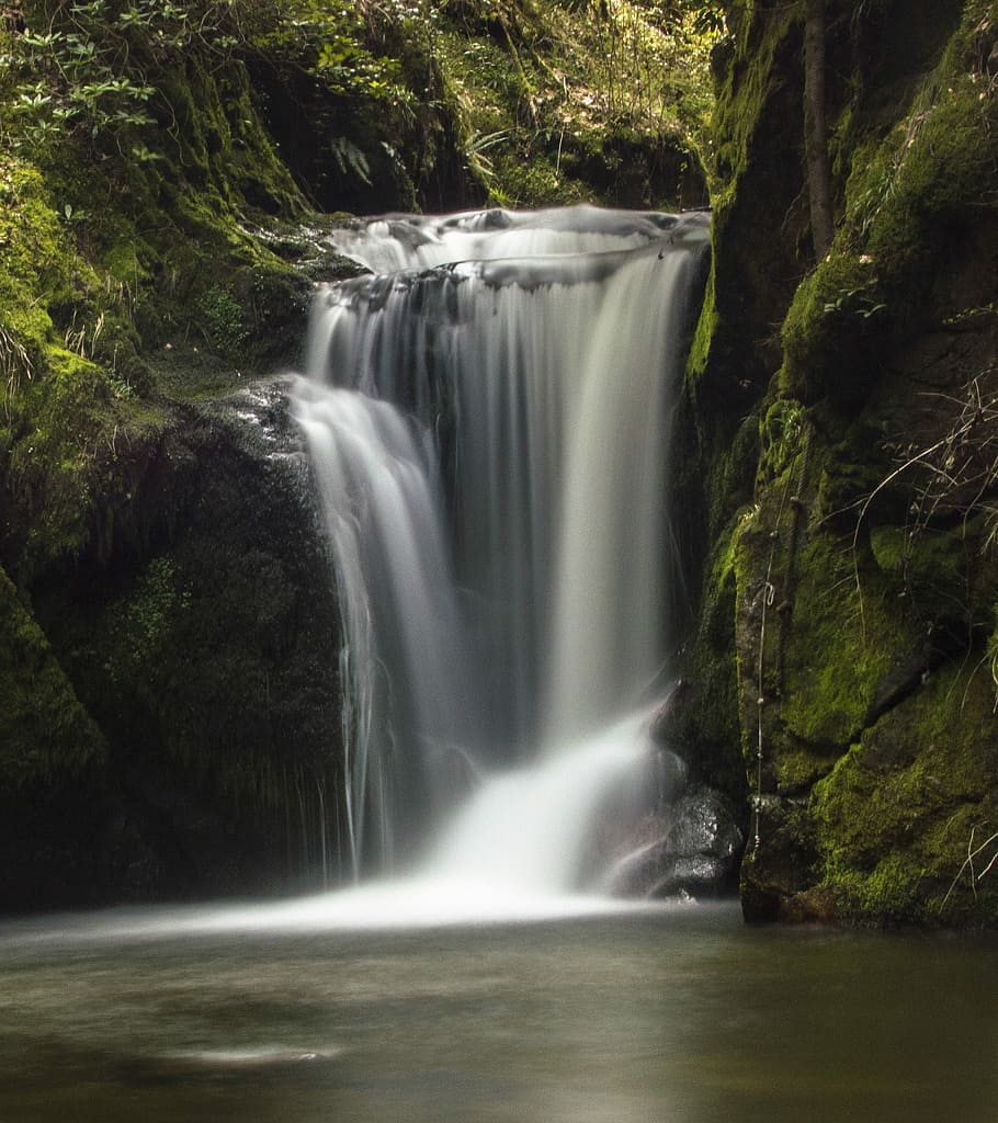 waterfalls and trees, waters, river, rock, wet, wild, environment HD wallpaper