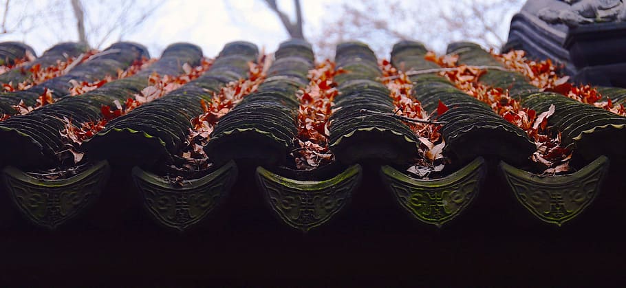 brown and black roof with dried leaves, Maple, China Wind, in a row HD wallpaper