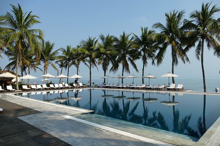 swimming pool with palm trees on side and sunloungers, vietnam
