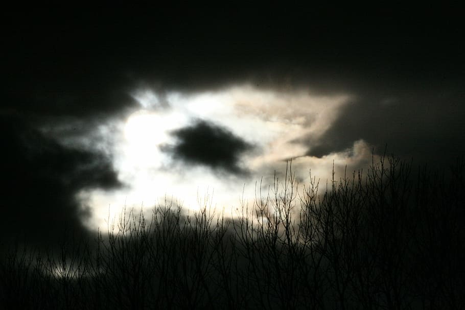 silhouette photo of grass against sky, clouds, mystical, nature HD wallpaper