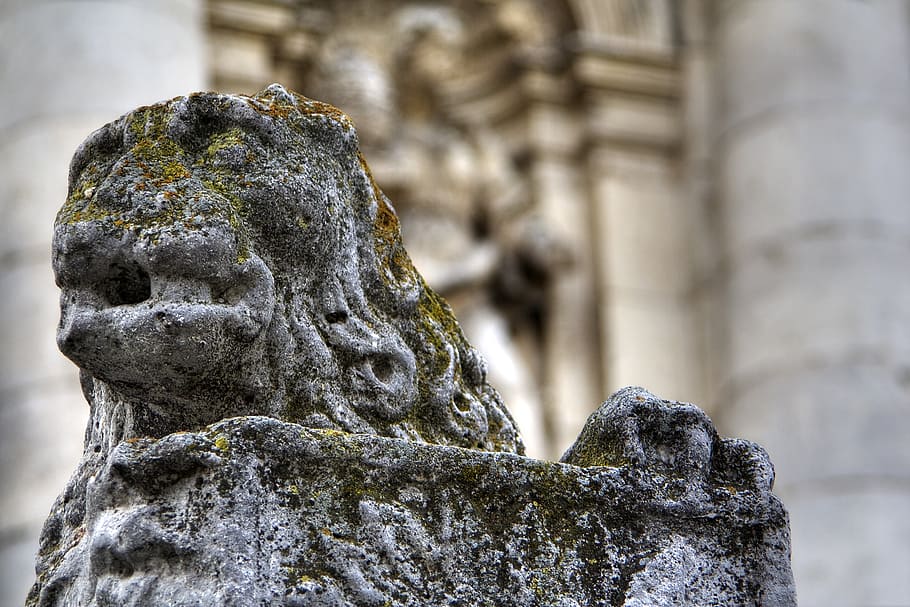leon, sculpture, stone, monument, statue, art and craft, architecture HD wallpaper