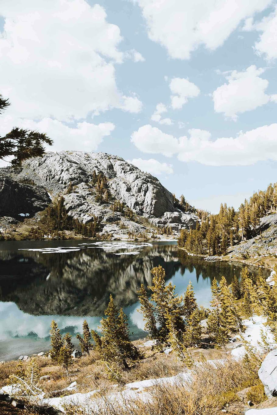 grey rocky mountain near brown leaf plants, gray mountain near body of water HD wallpaper