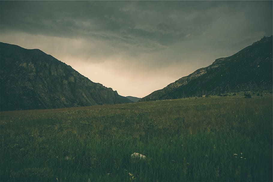 green grass field during nighttime, photograph, gray, black HD wallpaper